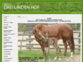 dreilindenhof-quarterhorses.de