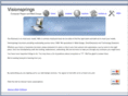 visionsprings.net