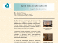 alvinhong.com