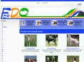 fordogonly.com
