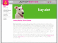 juniorseniordirect.com