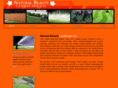 naturalbeautylandscape.com