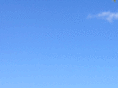 qualitavi.com