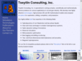 tseytlin-consulting.com