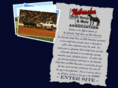 nebraskadrafthorse.com