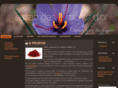 safrandelyon.com