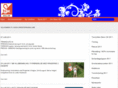 skienok.com