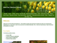 easterfinley.com