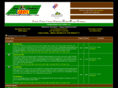 ffplayers.com