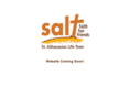 salt247.com