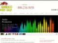 armadilloaudiogroup.com