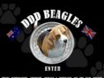 dddbeagles.com