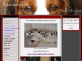 kooikerheart.com