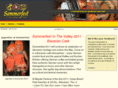 lehighvalleysummerfest.com