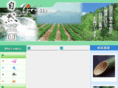 zinen.net