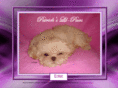 patrickslil-paws.com