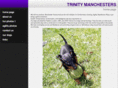 trinitymanchesters.com