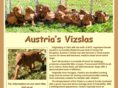 austriasvizslas.com