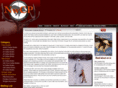 customprojectile.com