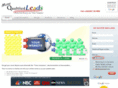 morequalifiedleads.co.uk