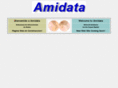 amidata.com