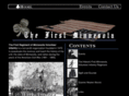 firstminnesota.org