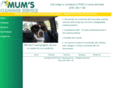 mumscleaning.com