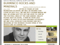 burminco.com