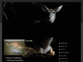 crosshairwildlife.com