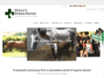 hollyshorsehaven.com