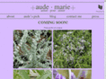 audemarie.com