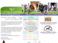 critternanny.net
