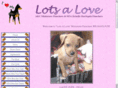 lotsaloveminpins.com