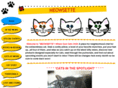 meowsette.com