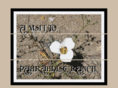 pahrahdiseonline.com