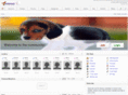 petzany.com