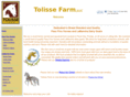 tolisse.com