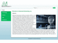 advancedinfoneering.com