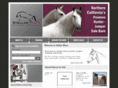 stellarmoonhunterjumpers.com