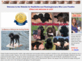 seattlepoodles.com