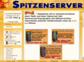 spitzenserver.de