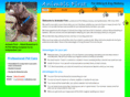 animalsfirst.net