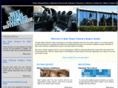 beststeamcleanersguide.com