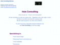 huieconsulting.com