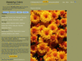 sweepingcolors.com