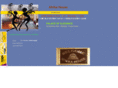 afrikahouse.net
