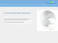netguruweb.com