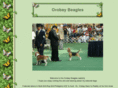 orobaybeagles.com