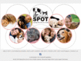 spot-saves-pets.org