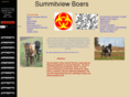 summitviewboers.com